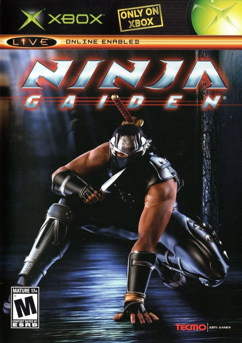 Ninja Gaiden Display Image